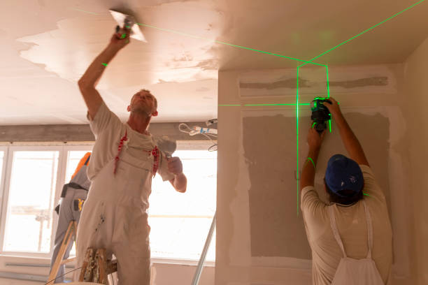 Reliable Baxter, TN Mold Removal Solutions