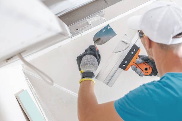 Best Post-Construction Mold Inspection  in Baxter, TN